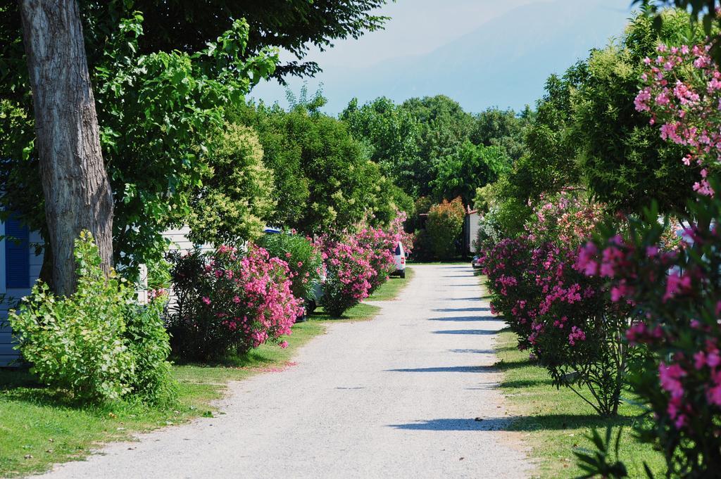 Camping Baia Verde Manerba del Garda Esterno foto